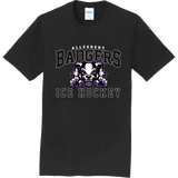 Lady Badgers Adult Fan Favorite Tee